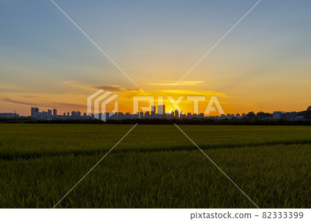 Hojobeol Siheung-si, Gyeonggi-do Hojobeol Siheung-si, Gyeonggi-do 82333399