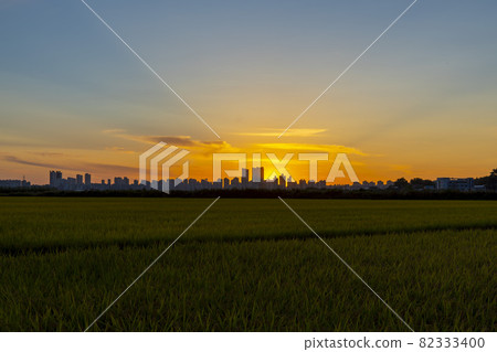 Hojobeol Siheung-si, Gyeonggi-do Hojobeol Siheung-si, Gyeonggi-do 82333400