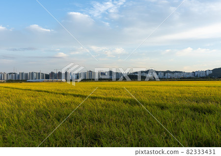 Hojobeol Siheung-si, Gyeonggi-do Hojobeol Siheung-si, Gyeonggi-do 82333431