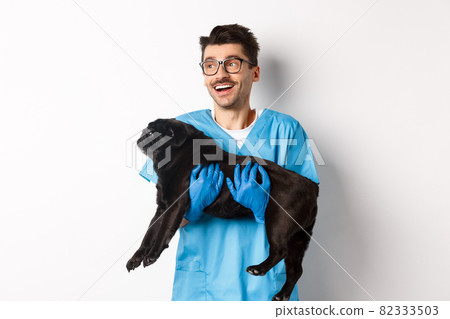 Vet clinic concept. Happy male doctor veterinarian holding cute black pug dog, smiling and looking left, standing over white background Vet clinic concept. Happy male doctor veterinarian holding cute black pug dog, smiling and looking left, standing over white background 82333503