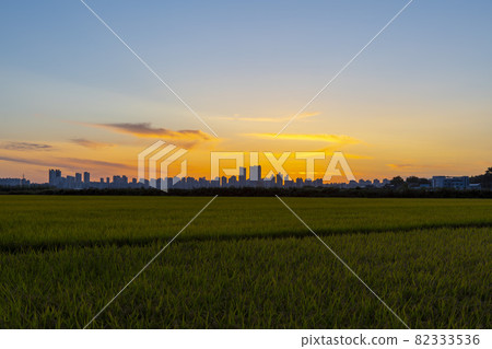 京畿道始興市厚和市 82333536