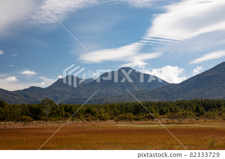 小田代原的秋葉和夫人 82333729