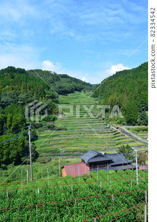 石工梯田 石工梯田 82334542