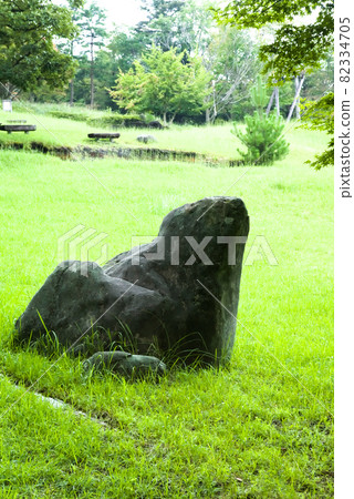 Stones in the park 82334705