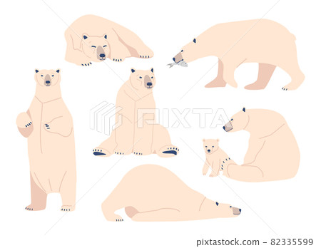 Set White Bear, Wild Polar Arctic Animal Predator in Different Postures. Mother with Cub, North Pole Cartoon Creature 82335599