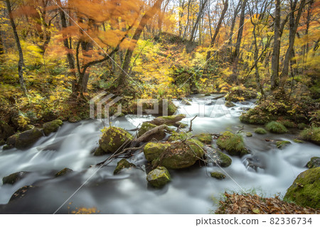 Kinshu Oirase Gorge 82336734