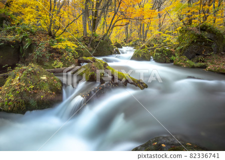 Kinshu Oirase Gorge 82336741