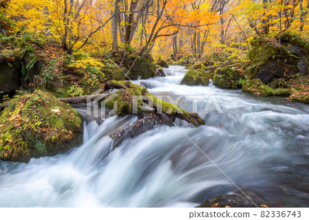 金州奧入瀨峽谷 82336743
