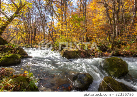 Kinshu Oirase Gorge 82336786