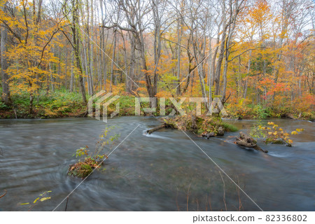 Kinshu Oirase Gorge 82336802