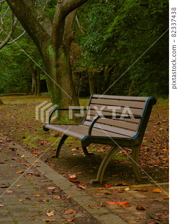 秋天，安靜的公園長椅 82337438