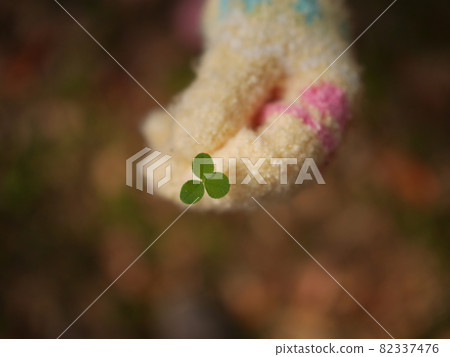 Small trefoil Small trefoil 82337476