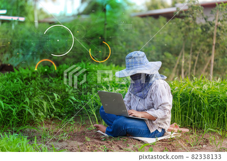 Thai farmer is using a laptop computer in a fresh morning glory vegetable farm, organic healthy food and technology concept, select focus shallow depth of field Thai farmer is using a laptop computer in a fresh morning glory vegetable farm, organic healthy food and technology concept, select focus shallow depth of field 82338133