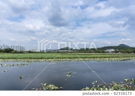 京畿道安山市華郎湖 京畿道安山市華郎湖 82338173