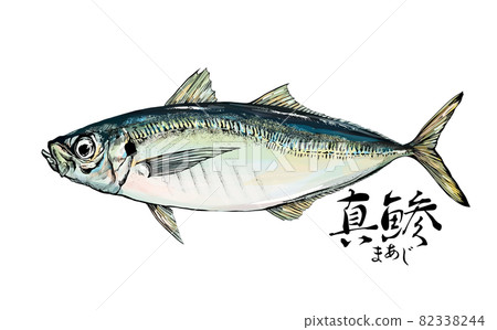Illustration of horse mackerel --Transparent background --Cut out 82338244