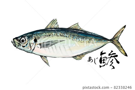 Illustration of horse mackerel --Transparent background --Cut out 82338246