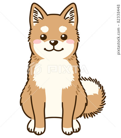 Shiba Inu 82338448