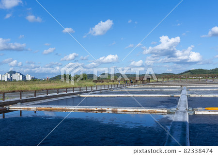 索拉濕地生態公園 82338474