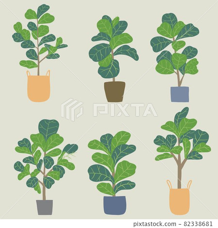 Doodle freehand sketch drawing of fiddle leaf fig tree collection. 82338681