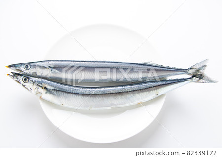秋刀魚。 （白色背景） 82339172