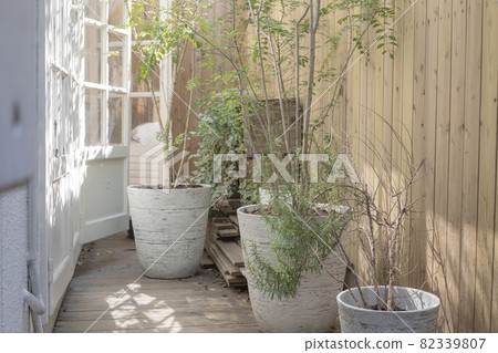 Ornamental plants on the balcony 82339807