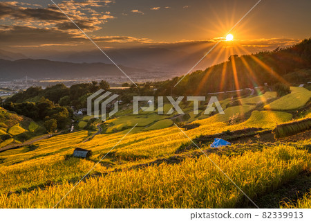 《Nagano Prefecture》 Golden countryside, Inagura rice terraces 《Nagano Prefecture》 Golden countryside, Inagura rice terraces 82339913