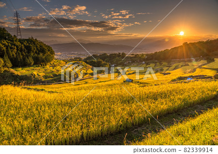 《長野縣》黃金鄉、稻倉梯田 82339914