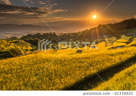 《Nagano Prefecture》 Golden countryside, Inagura rice terraces 82339920