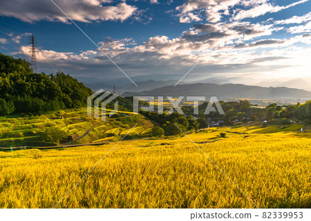 《Nagano Prefecture》 Golden countryside, Inagura rice terraces 《Nagano Prefecture》 Golden countryside, Inagura rice terraces 82339953
