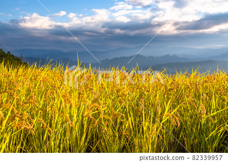 《Nagano Prefecture》 Golden countryside, Inagura rice terraces 《Nagano Prefecture》 Golden countryside, Inagura rice terraces 82339957