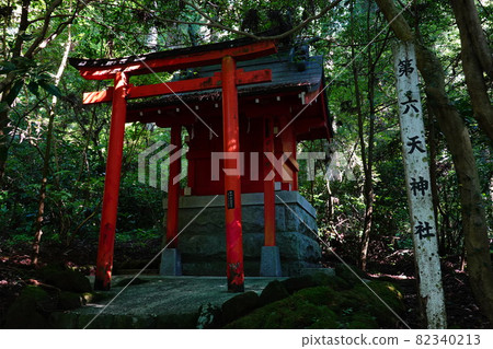 箱根神社第六十神社 箱根神社第六十神社 82340213