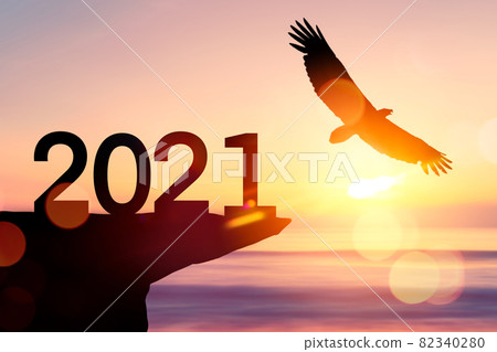 2021 new year concept with eagle bird flying on sunset sky background at top of mountain. 2021 new year concept with eagle bird flying on sunset sky background at top of mountain. 82340280