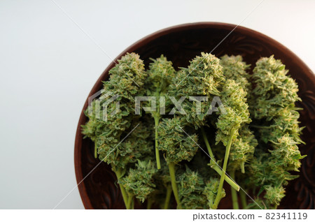 Cannabis harvest. Trimmed weed in round dish isolated on white background 82341119