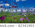 Autumn cherry blossoms in the mountains 82341903