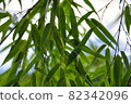 leaf  82342096