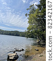 一個湖 82342167
