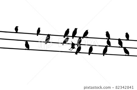 Birds on wires. Vector illustration 82342841