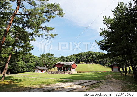 Donggureung 82343566