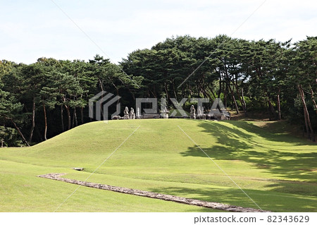 Donggungneung 82343629