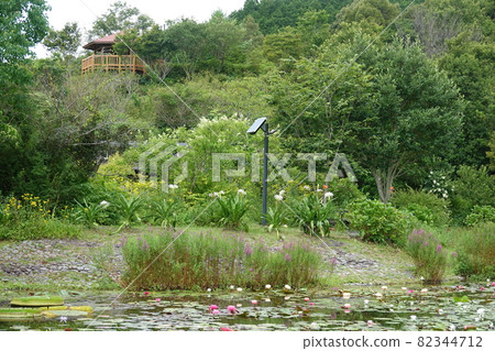 高知縣三原村星丘公園 高知縣三原村星丘公園 82344712