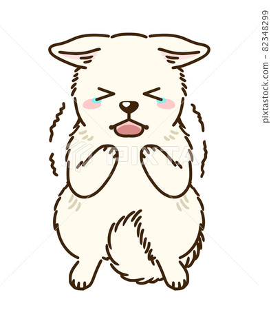 Frightened white shiba 82348299