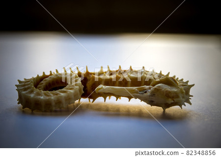 Dried seahorse on a black background Dried seahorse on a black background 82348856