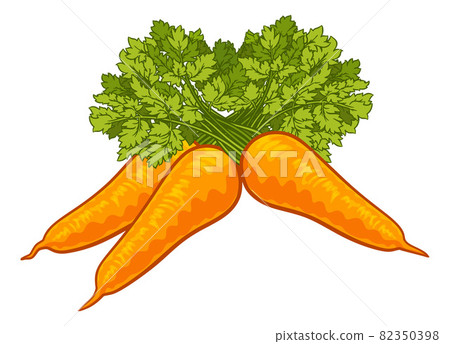Carrots Vegetable Cartoon Illustration 82350398