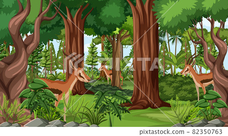 Wild animals in forest landscape background 82350763