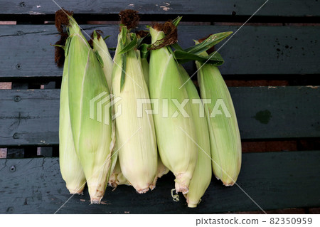Corn Ears on an Old Painted Picnic Bench Corn Ears on an Old Painted Picnic Bench 82350959