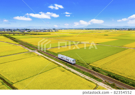 橫穿常總市鄉間的關東鐵道常總線的定期列車(三摩站~南石下站)(茨城縣常總市) 橫穿常總市鄉間的關東鐵道常總線的定期列車(三摩站~南石下站)(茨城縣常總市) 82354552
