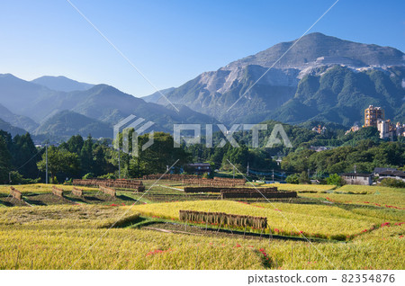 武子山聳立的寺坂梯田的風景《秩父郡》 82354876