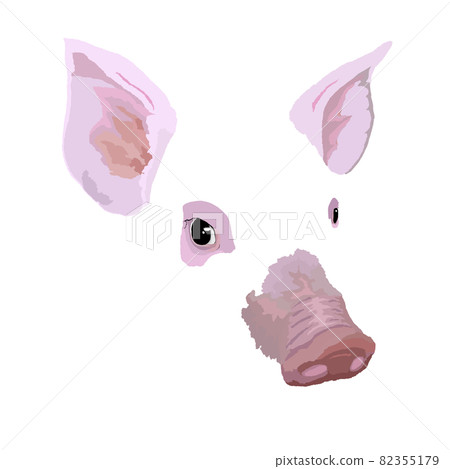 小豬臉圖背景透明 小豬臉圖背景透明 82355179