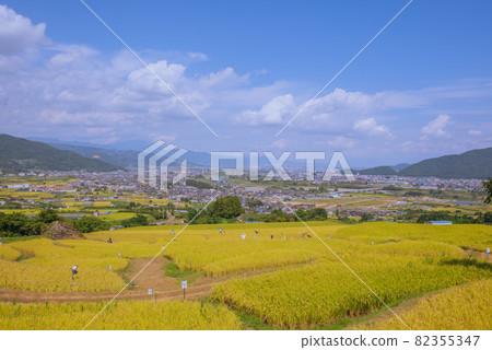 [秋天]風景秀麗/Obasute（每個領域的月份）Niece區[善光寺平的景色] 82355347