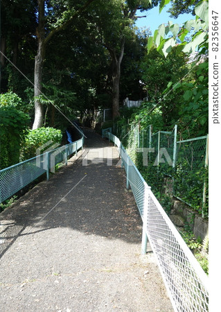 有斜坡的長廊 82356647